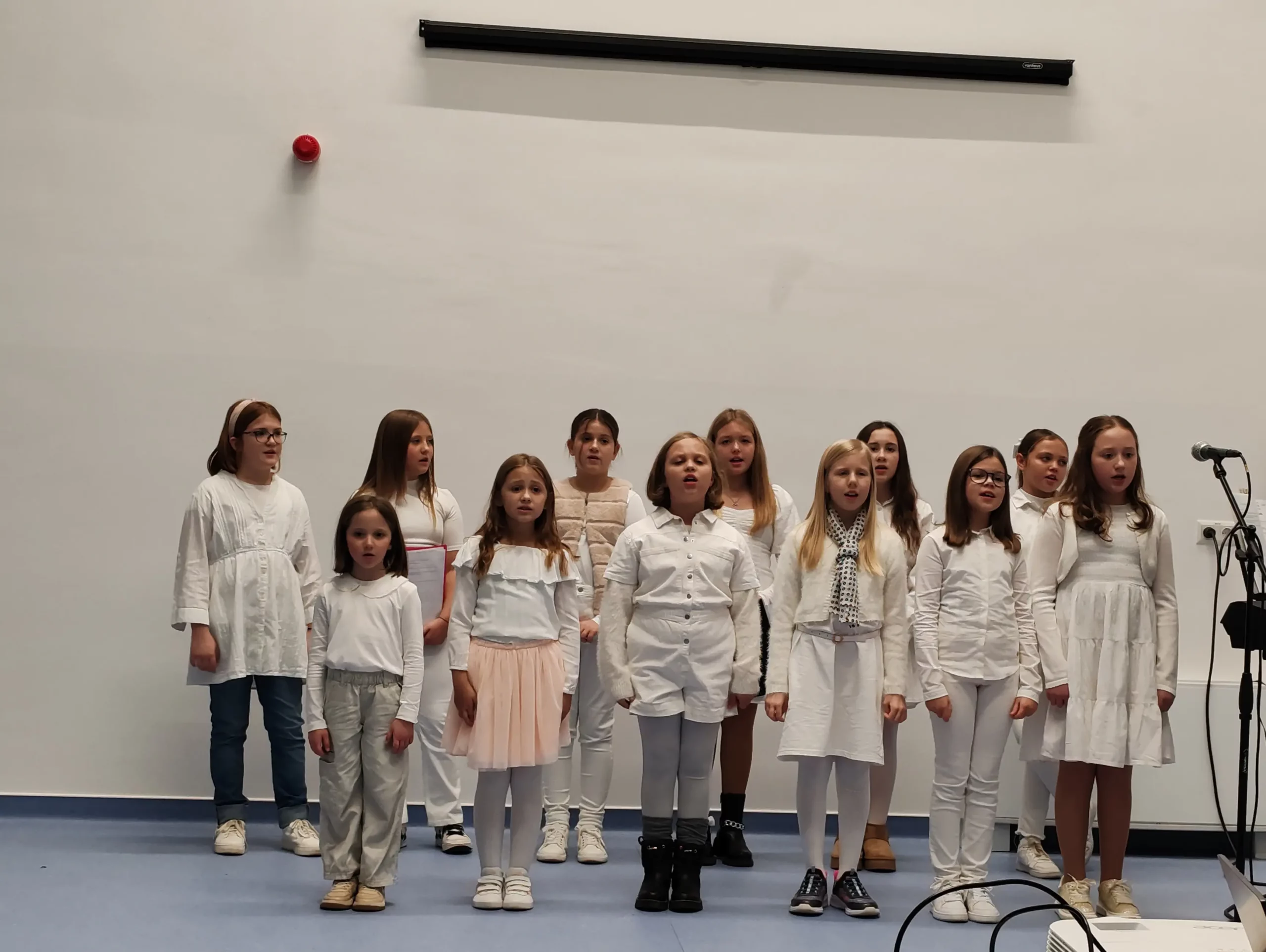 dv lastavica,spot (5)