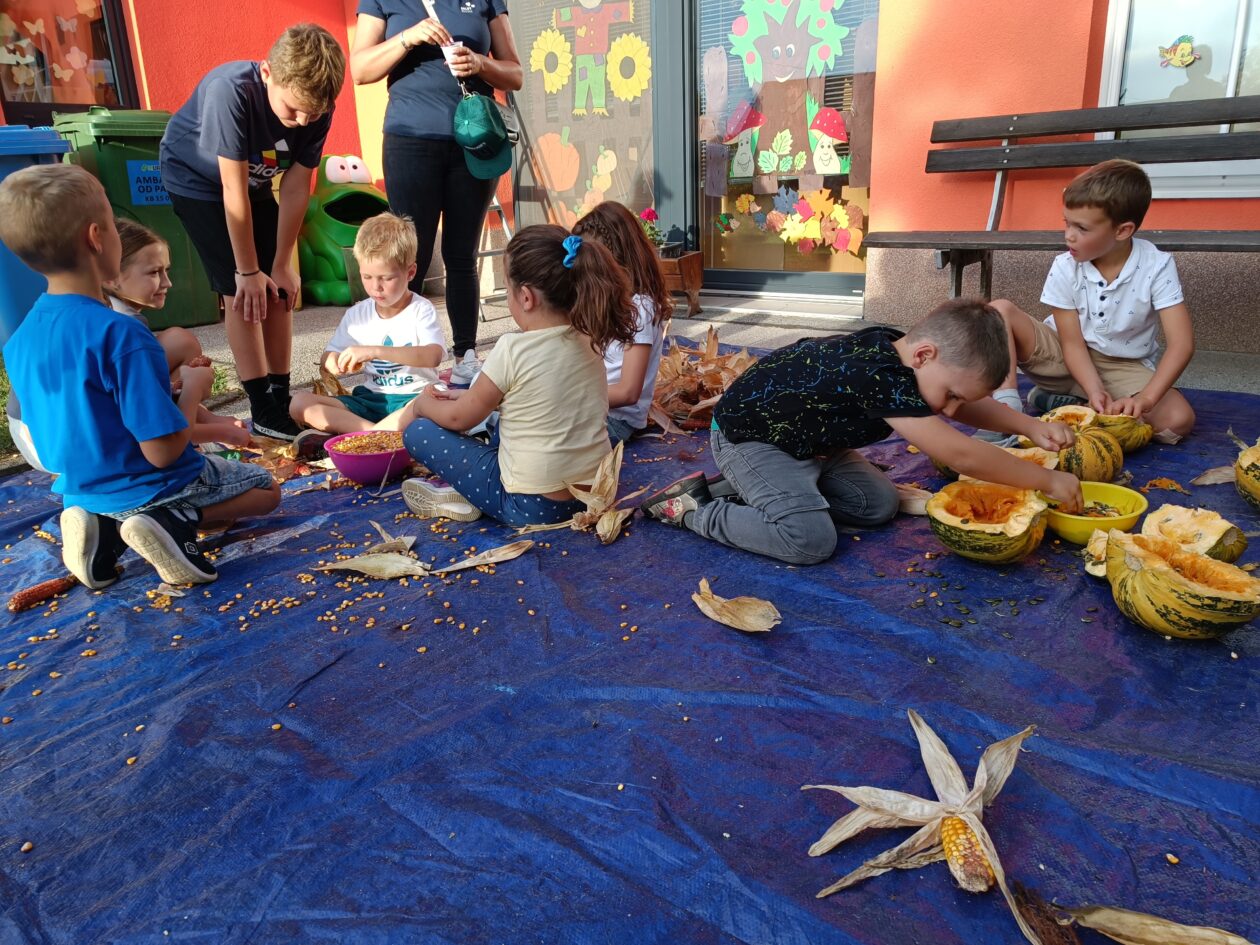 dv ribice (2) dv ribice (2)