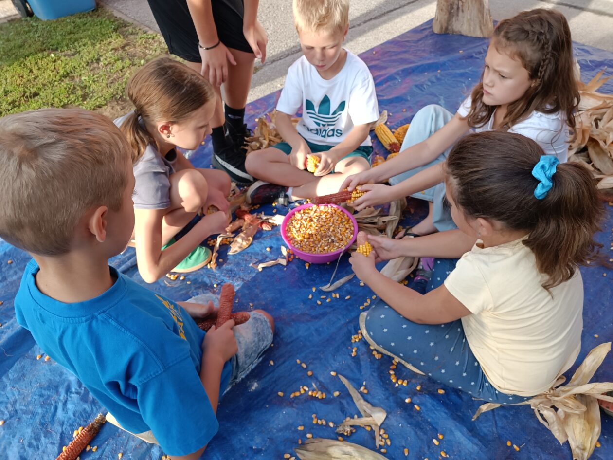 dv ribice (3) dv ribice (3)