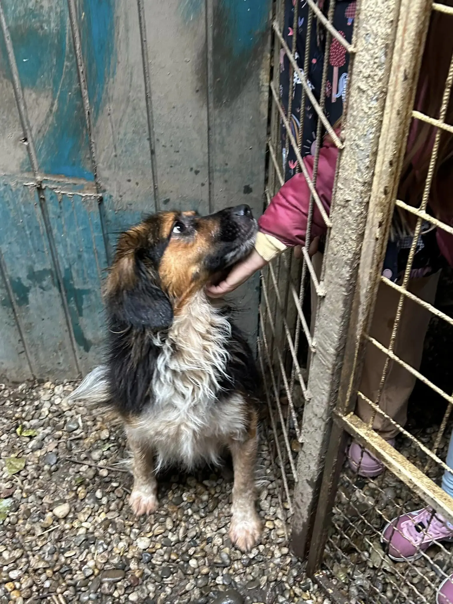 dv smješko u azilu (1)