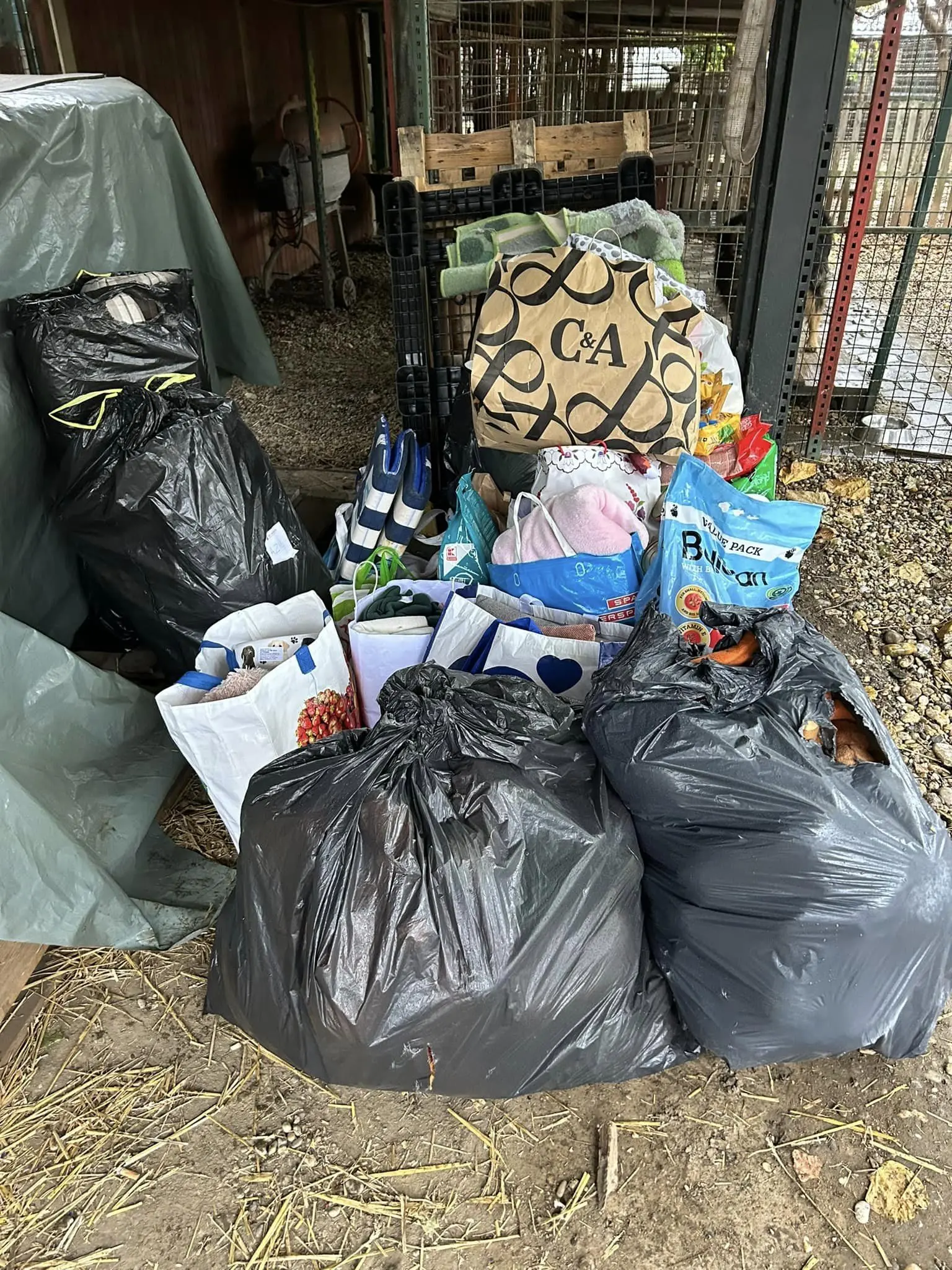 dv smješko u azilu (4)