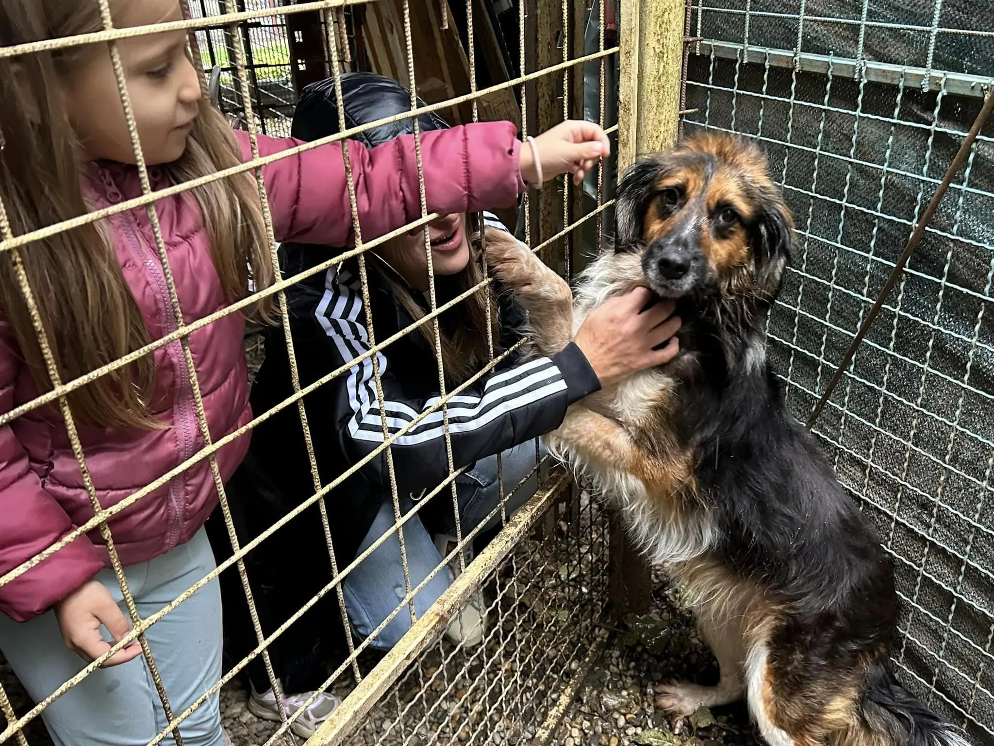 dv smješko u azilu (7)