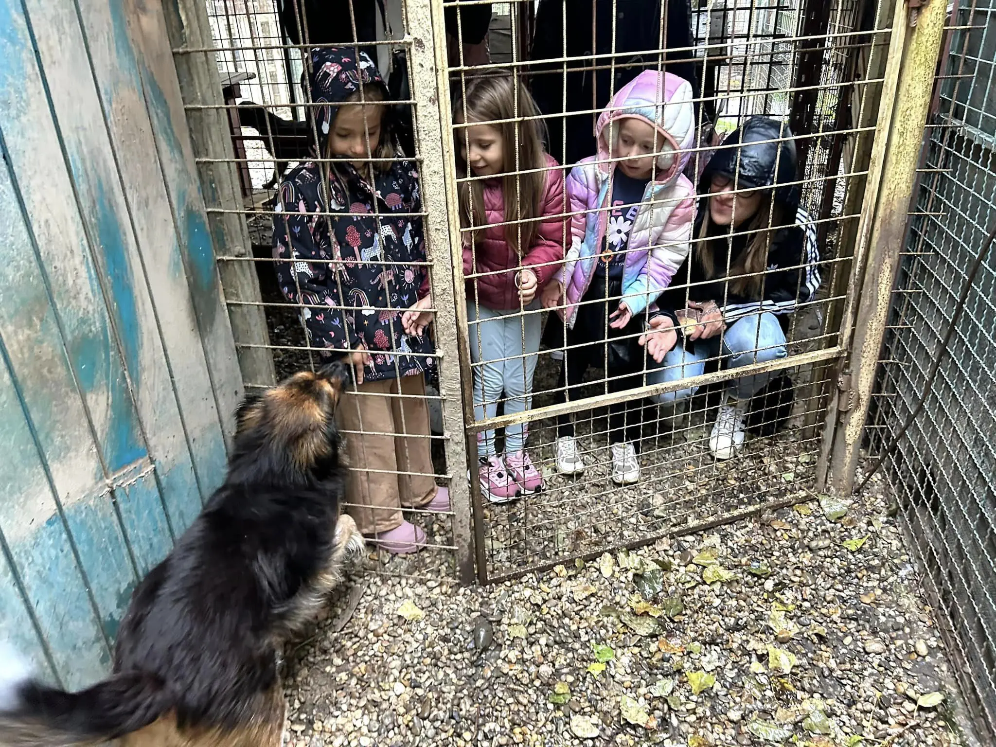 dv smješko u azilu (8)