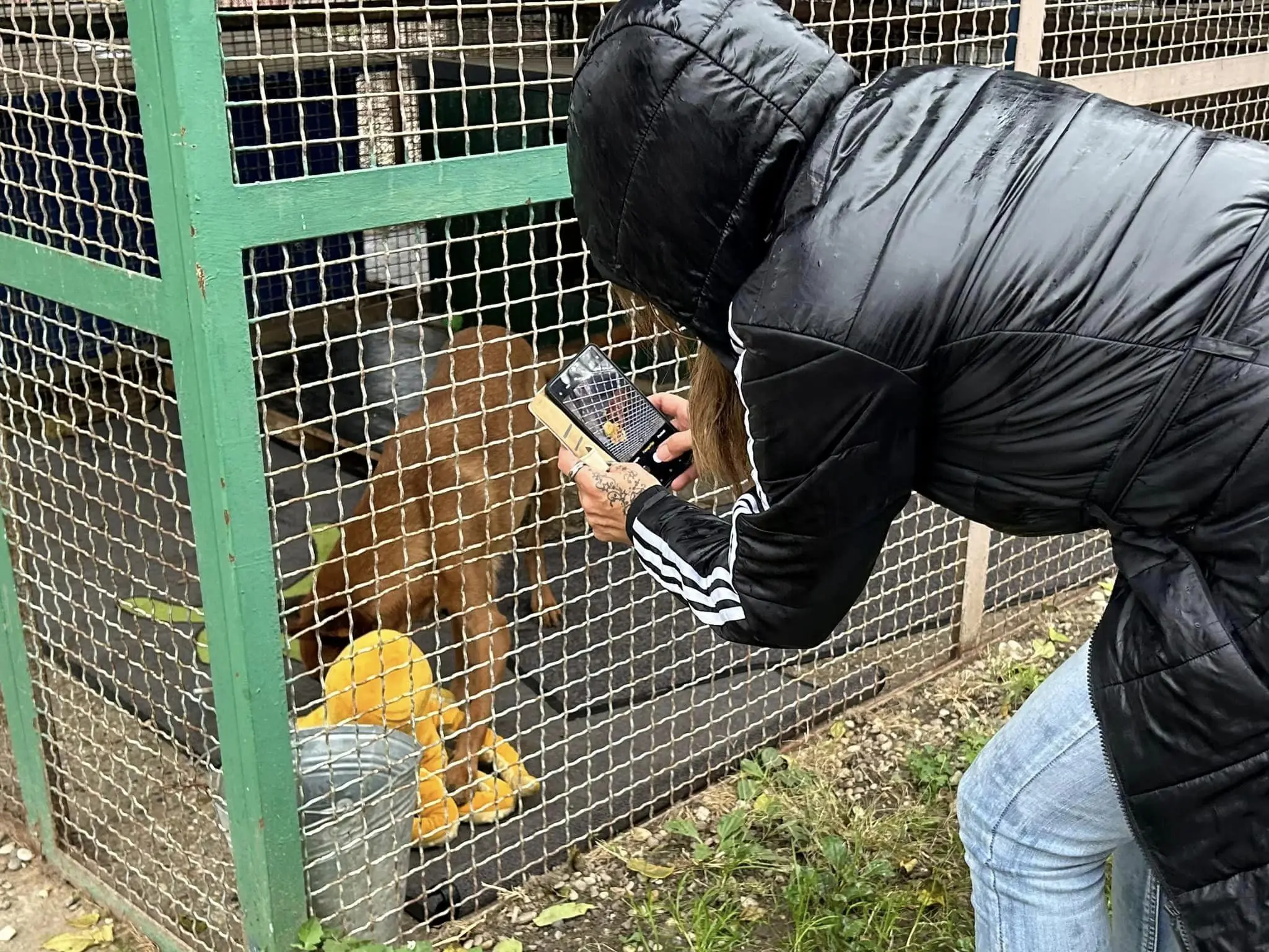 dv smješko u azilu (9)
