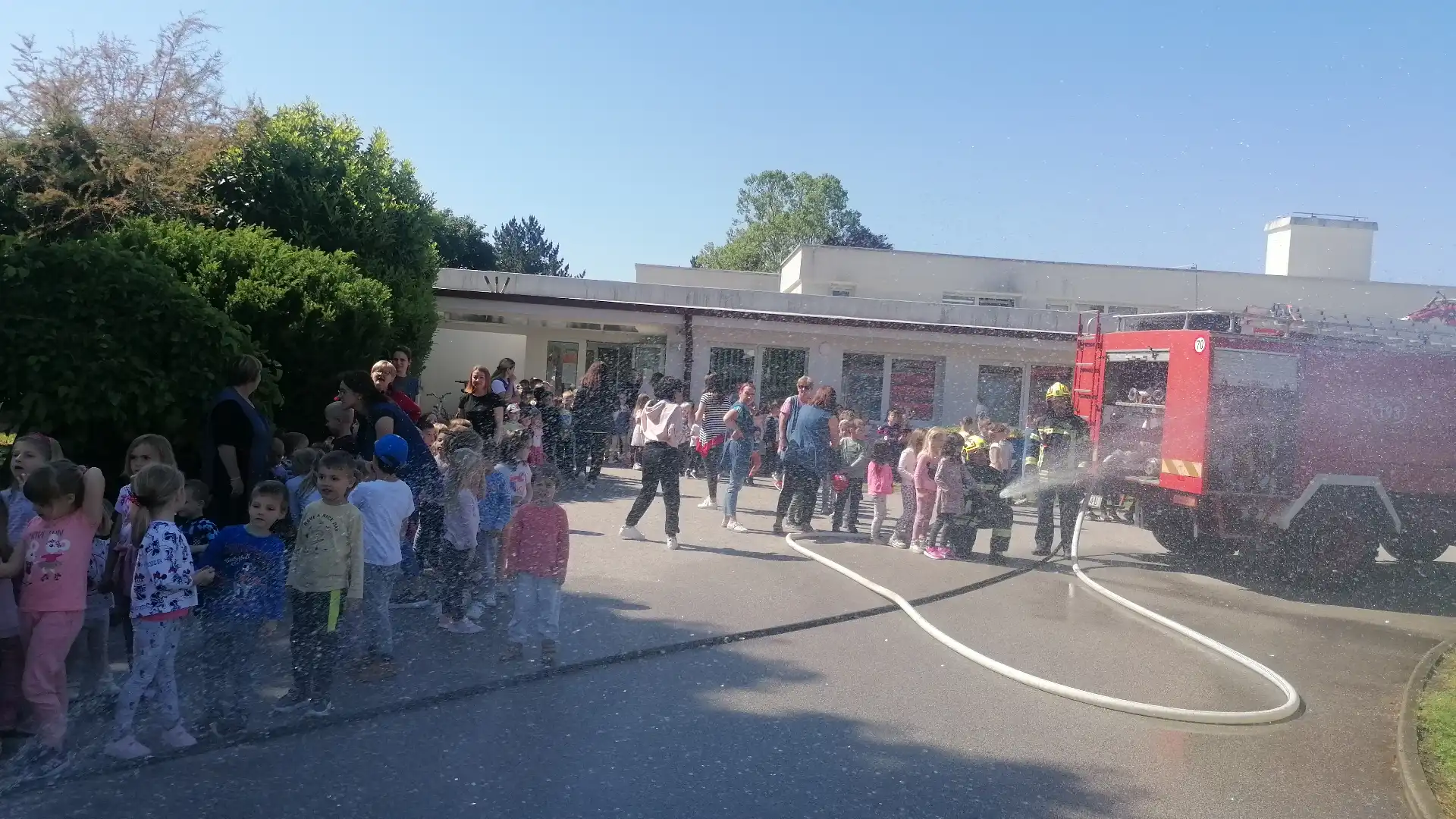 dvd čakovec,dv cvrčak (2)