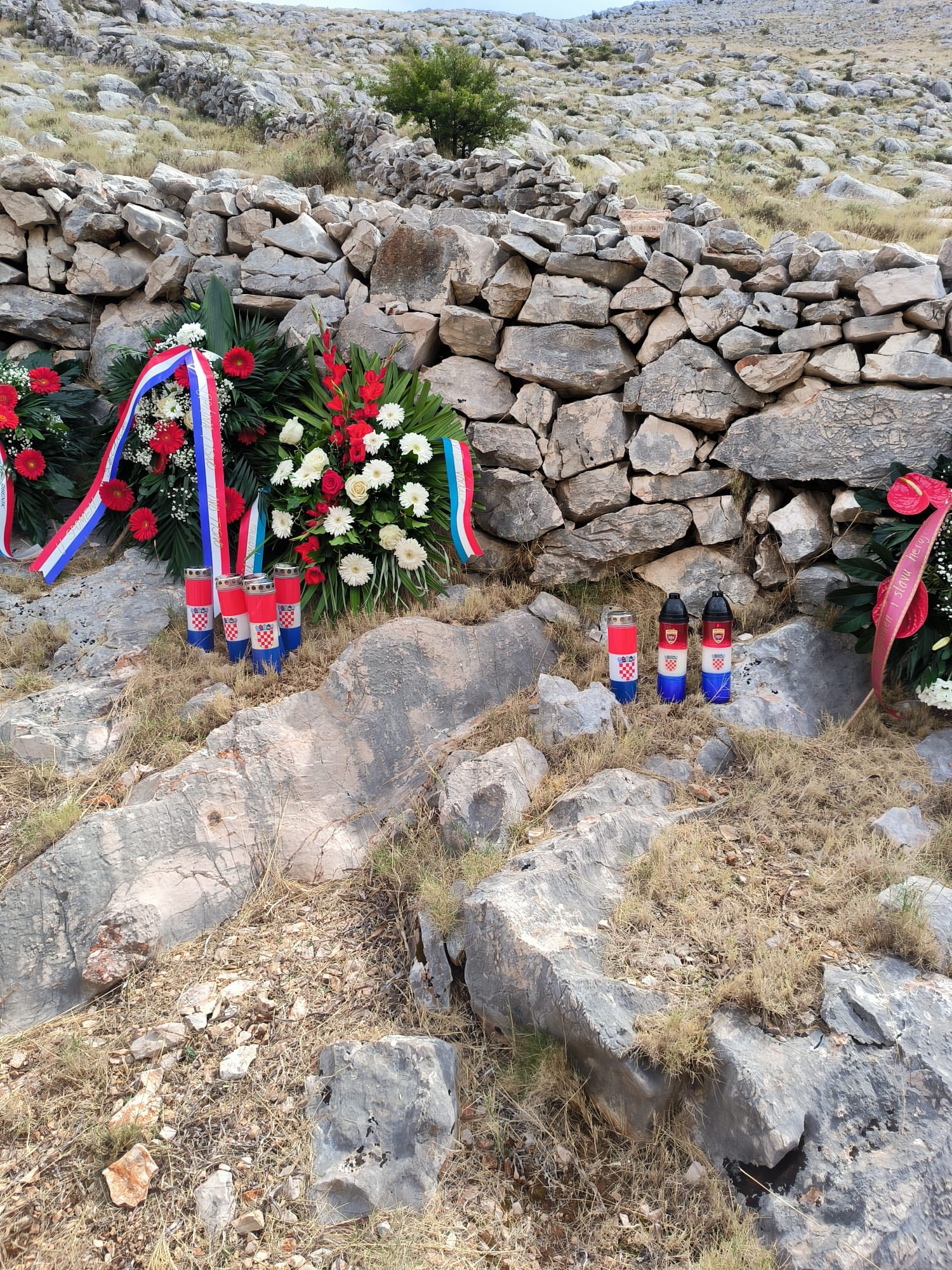 dvd domašinec (7) dvd domašinec (7)