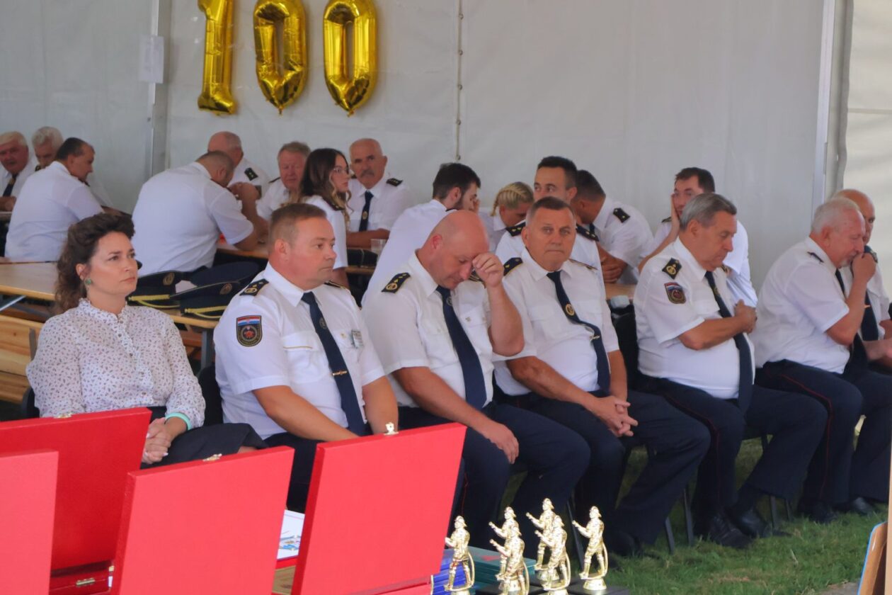 dvd mačkovec15 dvd mačkovec15