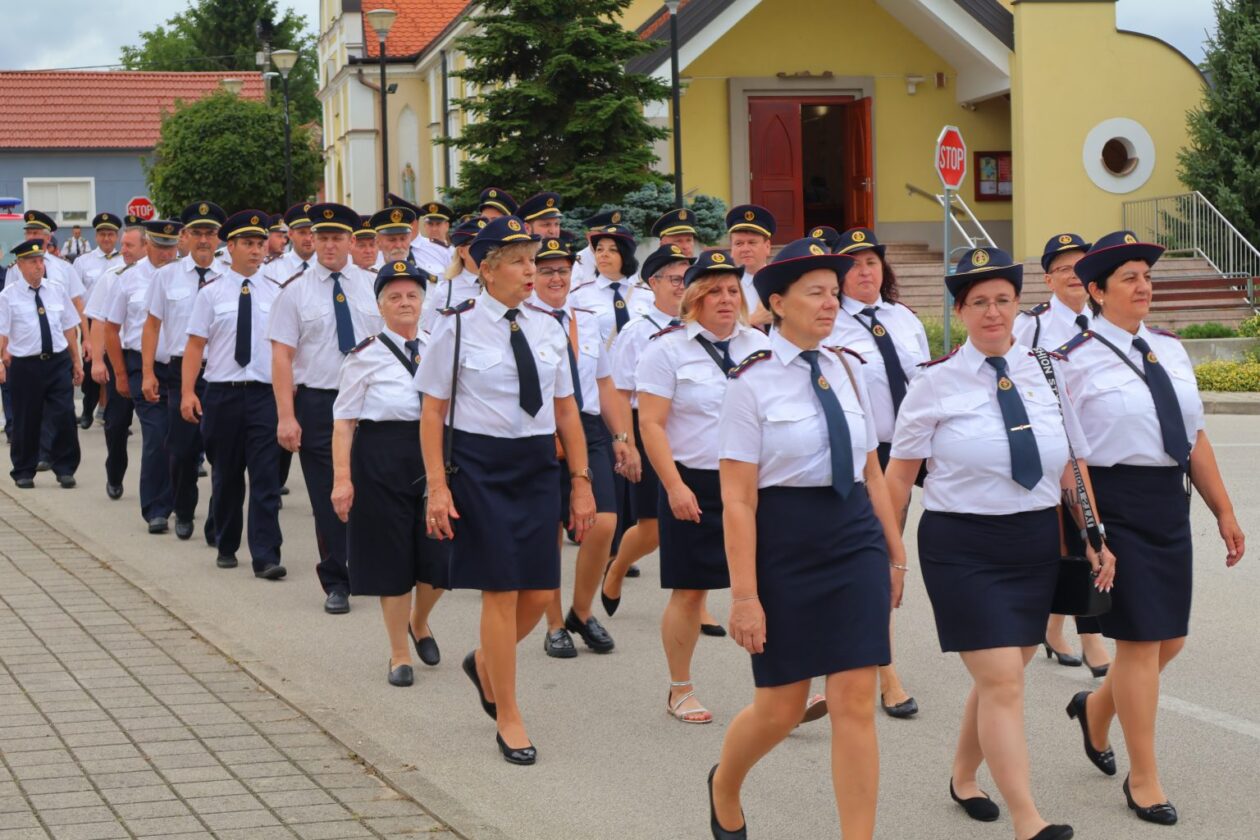 dvd mačkovec6 dvd mačkovec6