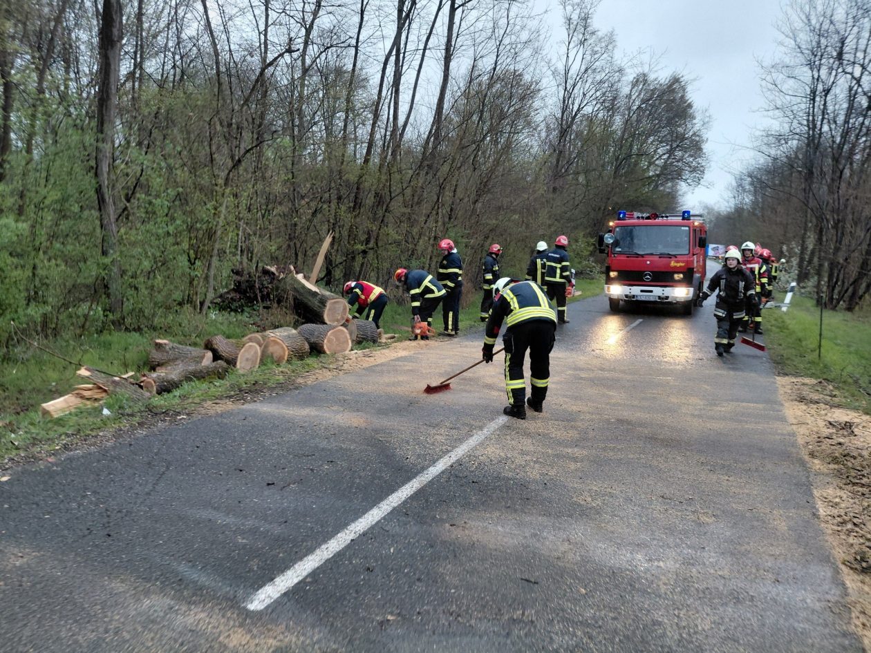 dvd mala subotica (2)