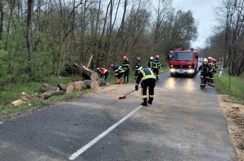 dvd mala subotica (2)