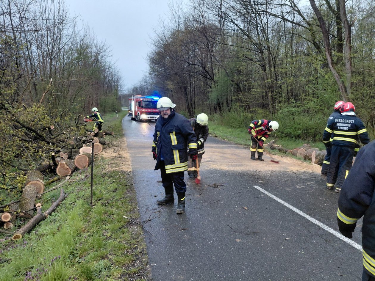 dvd mala subotica (3)