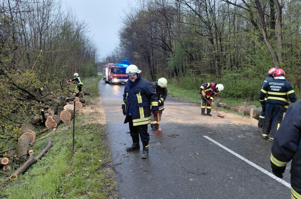 dvd mala subotica (3)