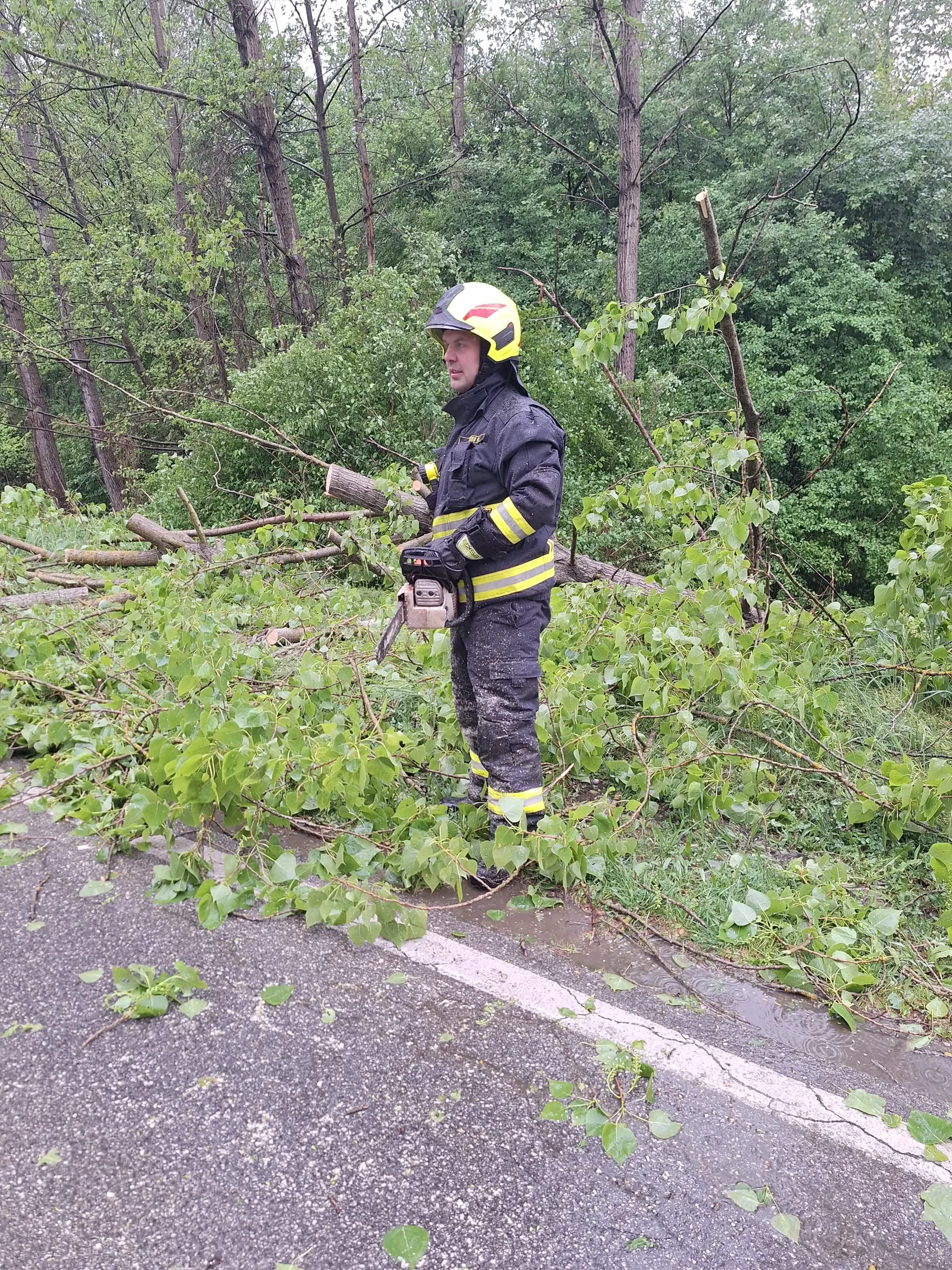 dvd prelog (1) dvd prelog (1)