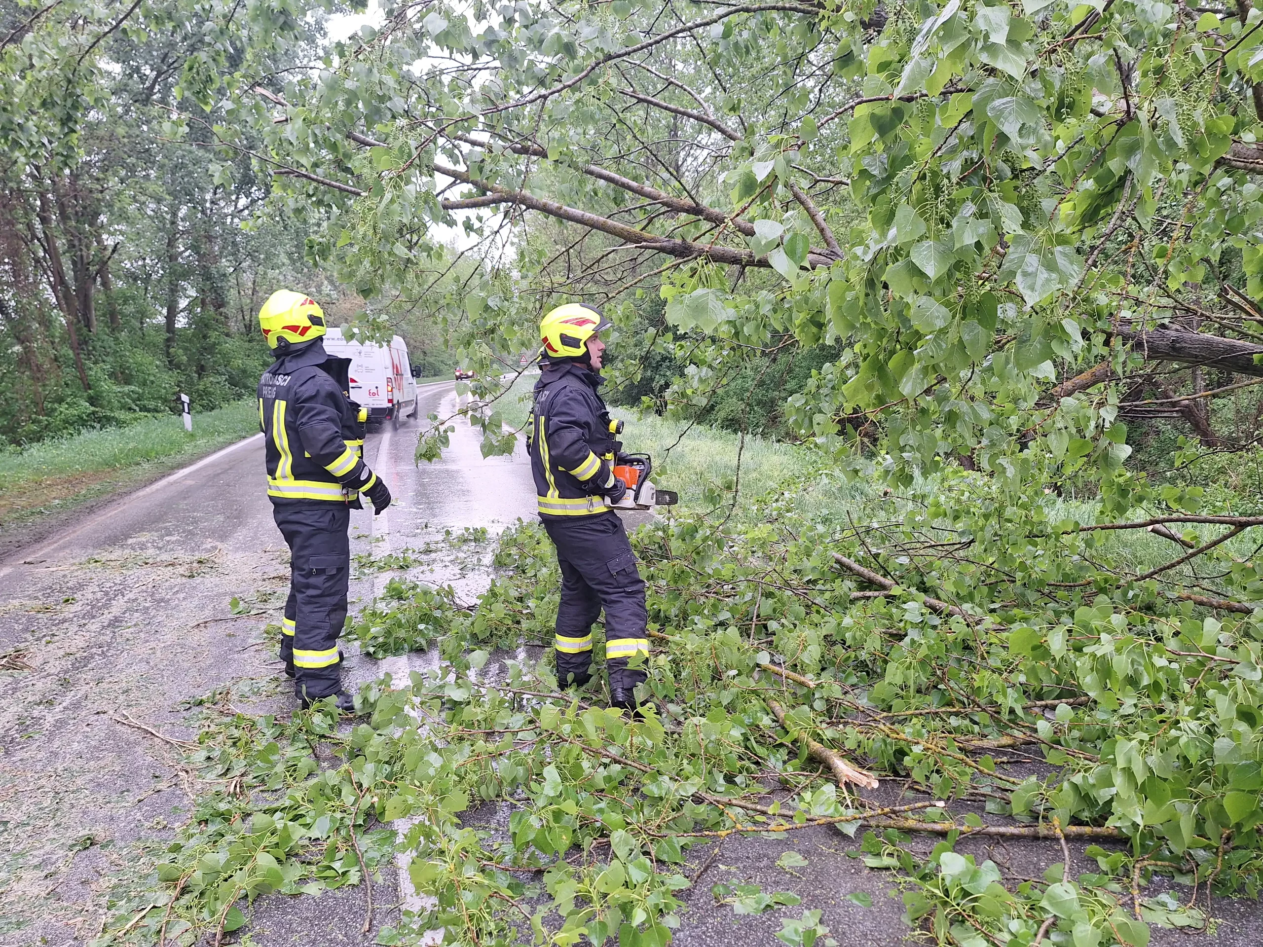 dvd prelog (2) dvd prelog (2)