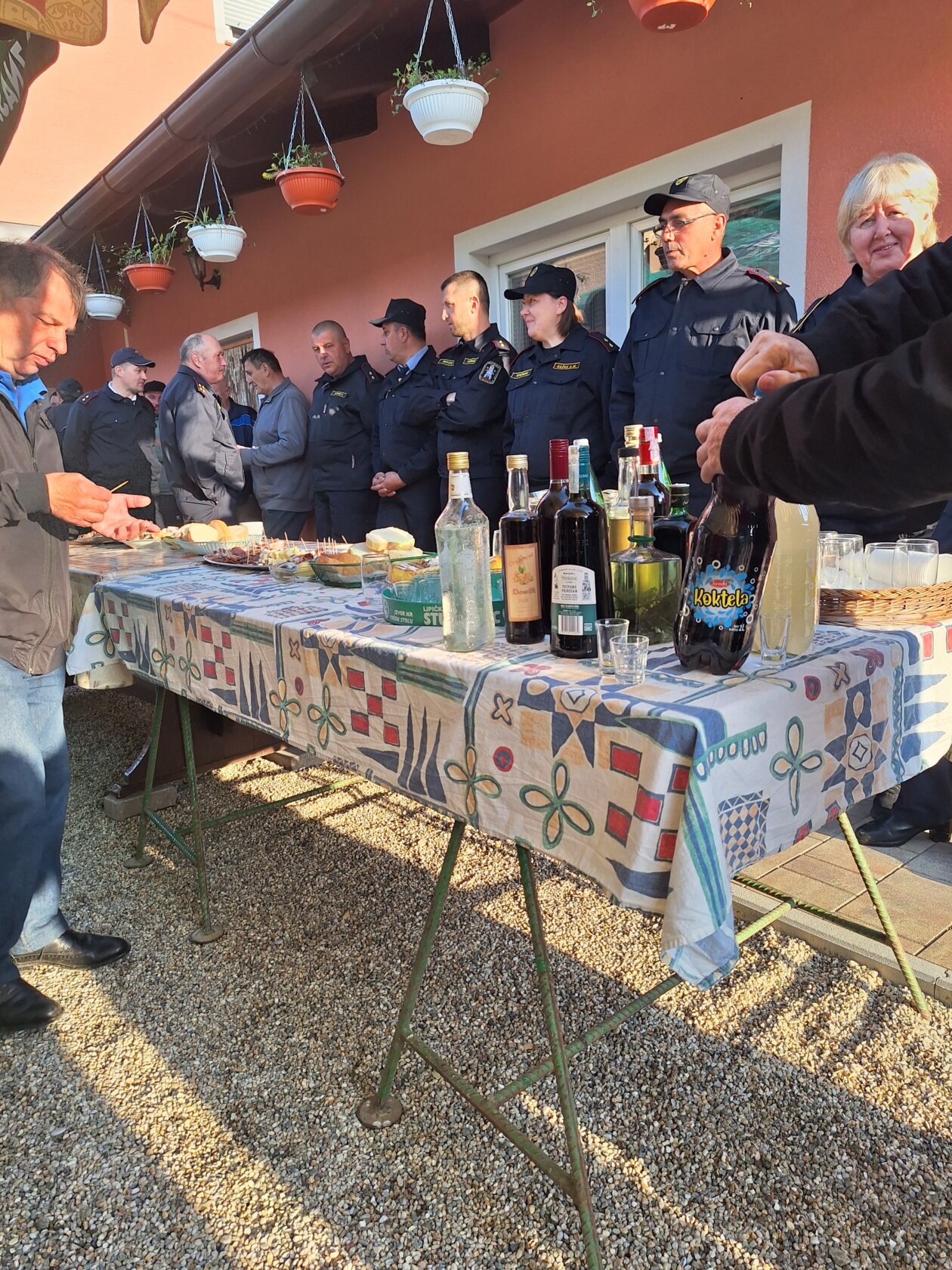 dvd prelog budnica (2)