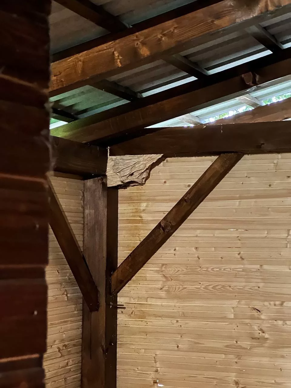 dvd vratišinec (5) dvd vratišinec (5)