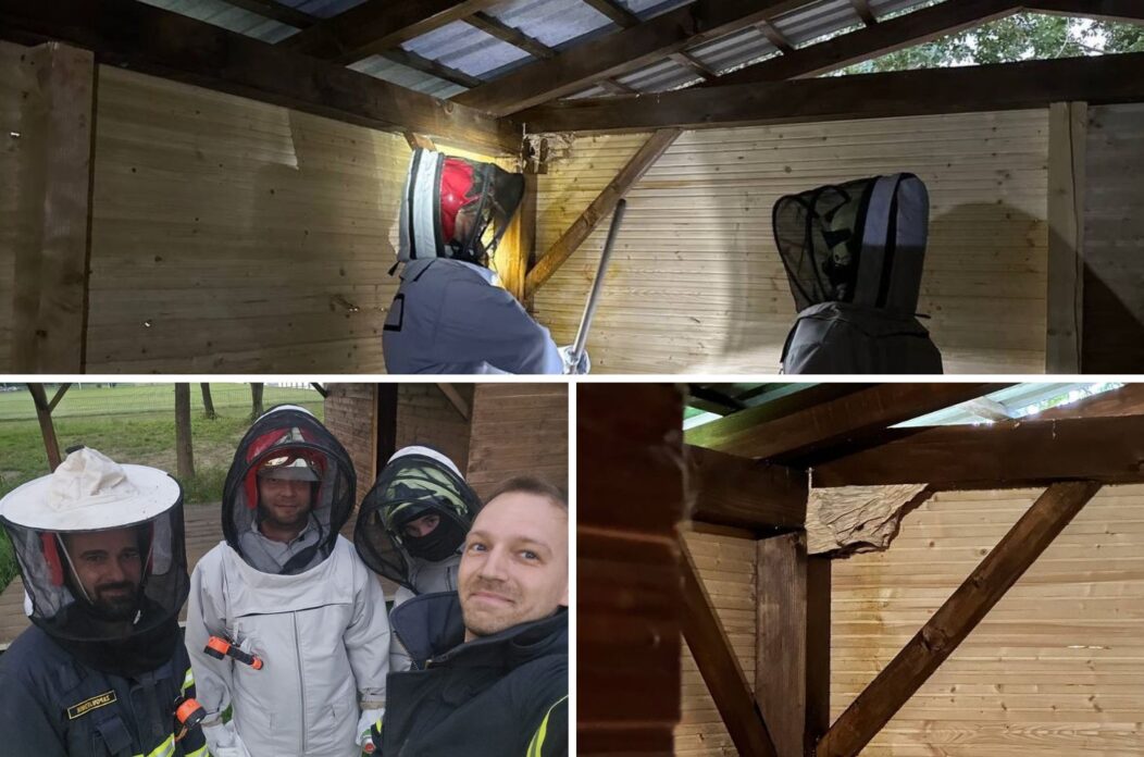 dvd vratišinec naslovna