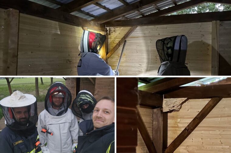 dvd vratišinec naslovna