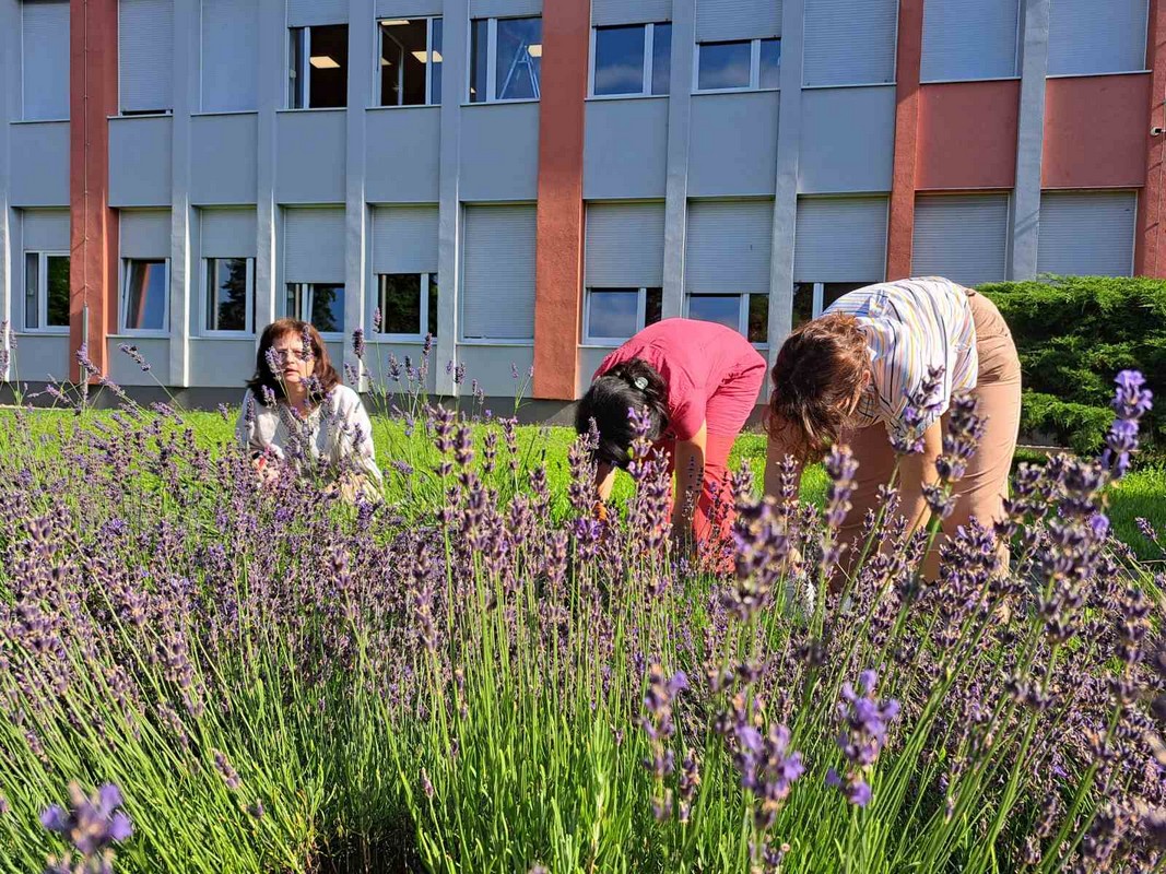Mirisni vrt ETŠ Čakovec