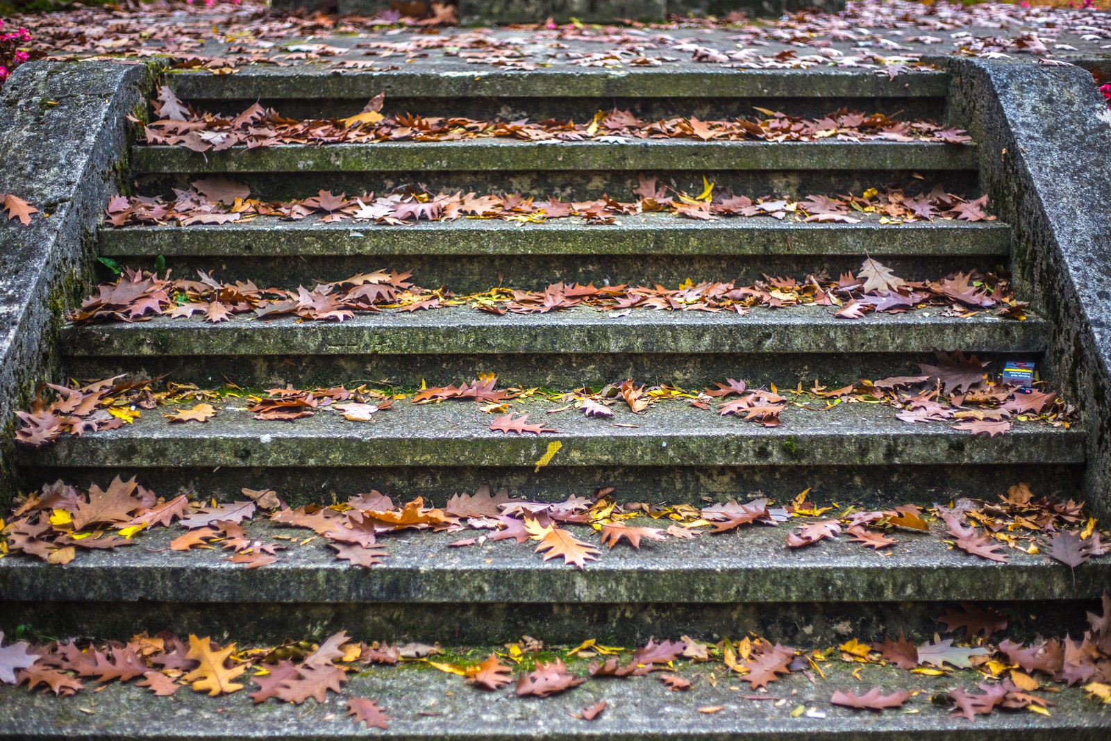 Čarobna jesen: Naša Miroslava Novak prošetala je čakovečkim parkom i snimila šarenilo jesenskih boja. Predivno, zar ne? (y) :-)