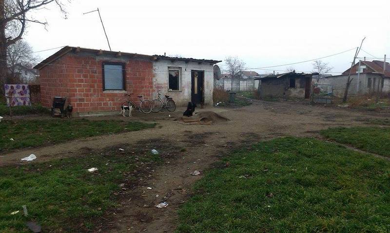 1231065411861307047349426314883