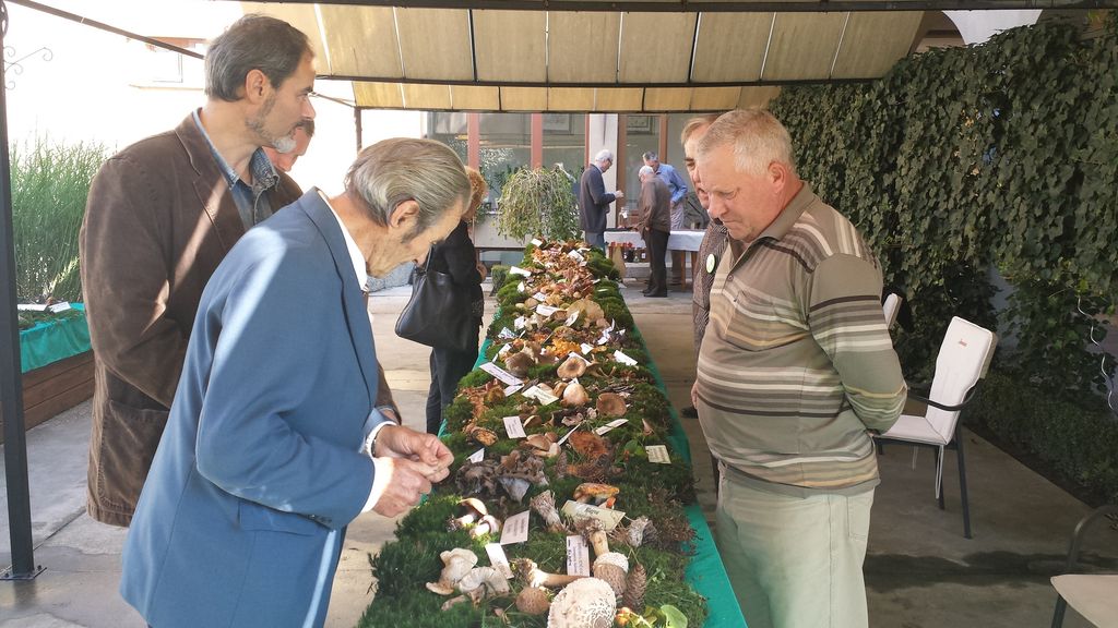 20140928102530910690