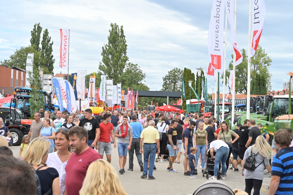 Image 5803697 (auto)