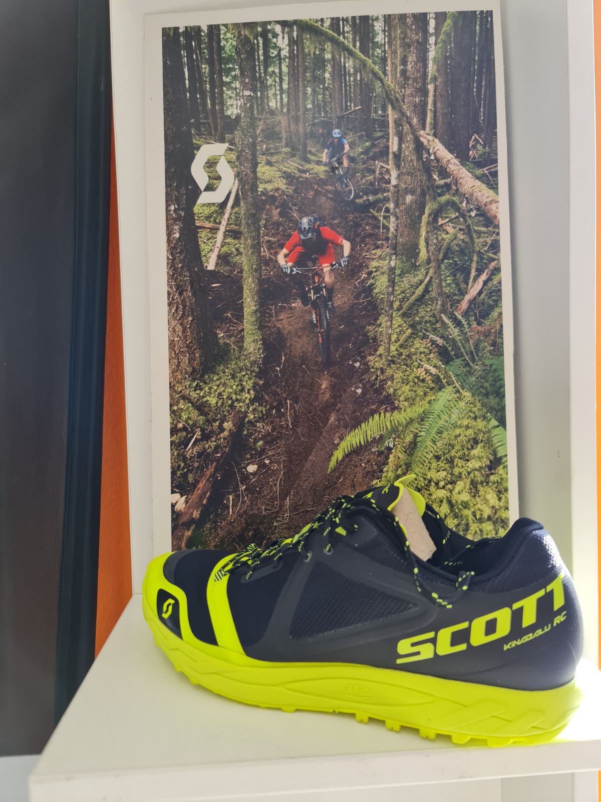 Image 5403630 (auto)