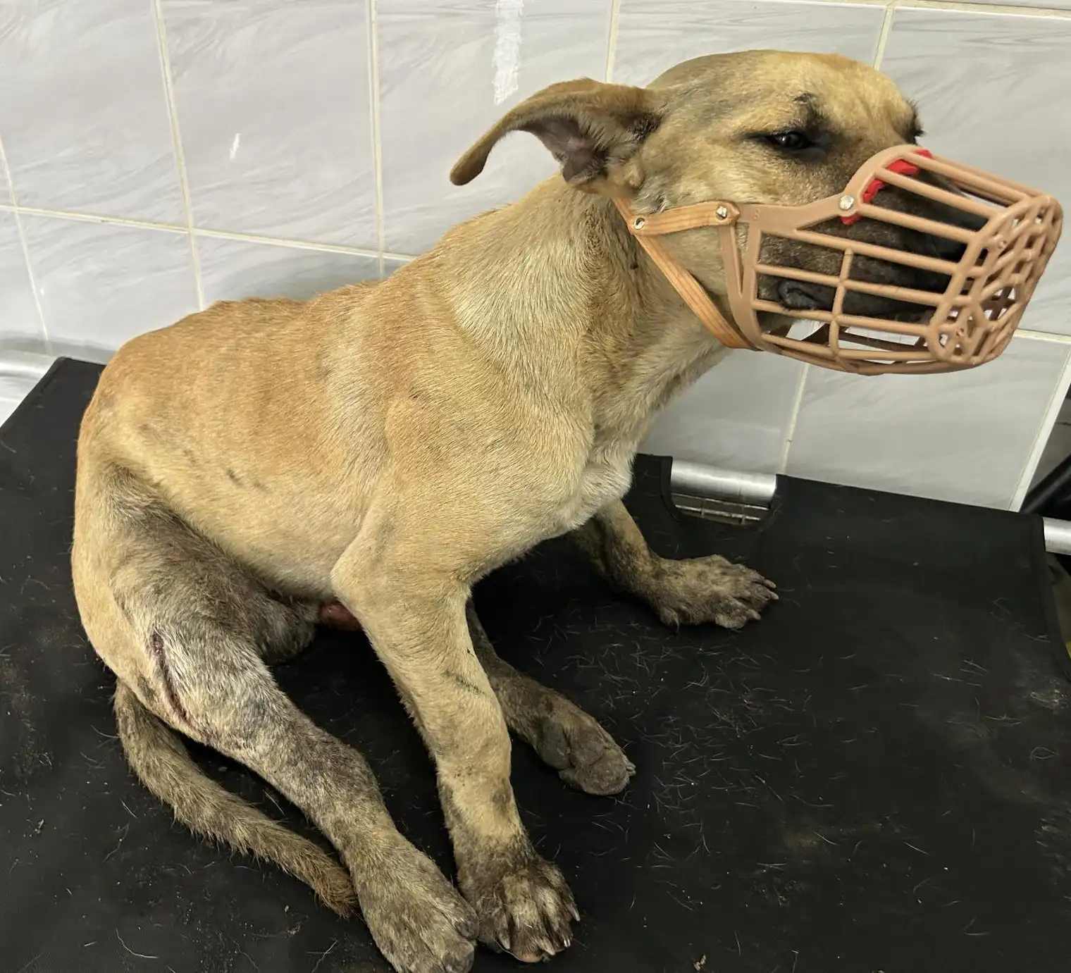 e1014aa9-4298-4790-b2d6-ffc863961ce2 e1014aa9-4298-4790-b2d6-ffc863961ce2