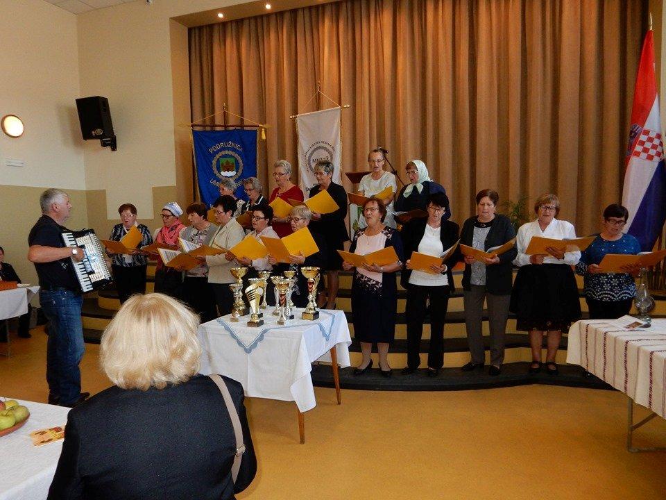 Susret umirovljenika Domašinca i Kotoribe