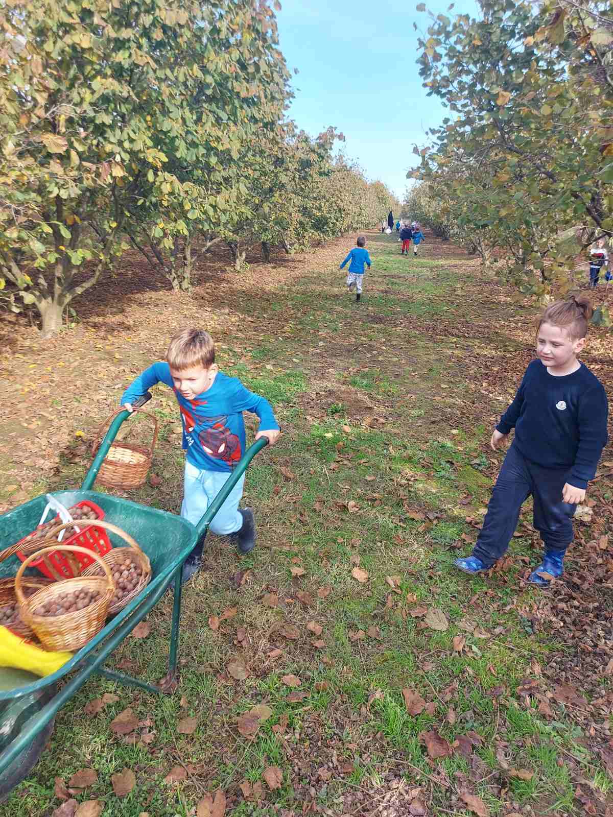 ‘Suncokreti’ iz čakovečkog vrtića Cvrčak posjetili lješnjikovac obitelji Sarač