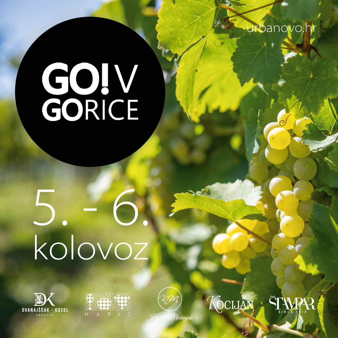 Image 5437266 (auto)