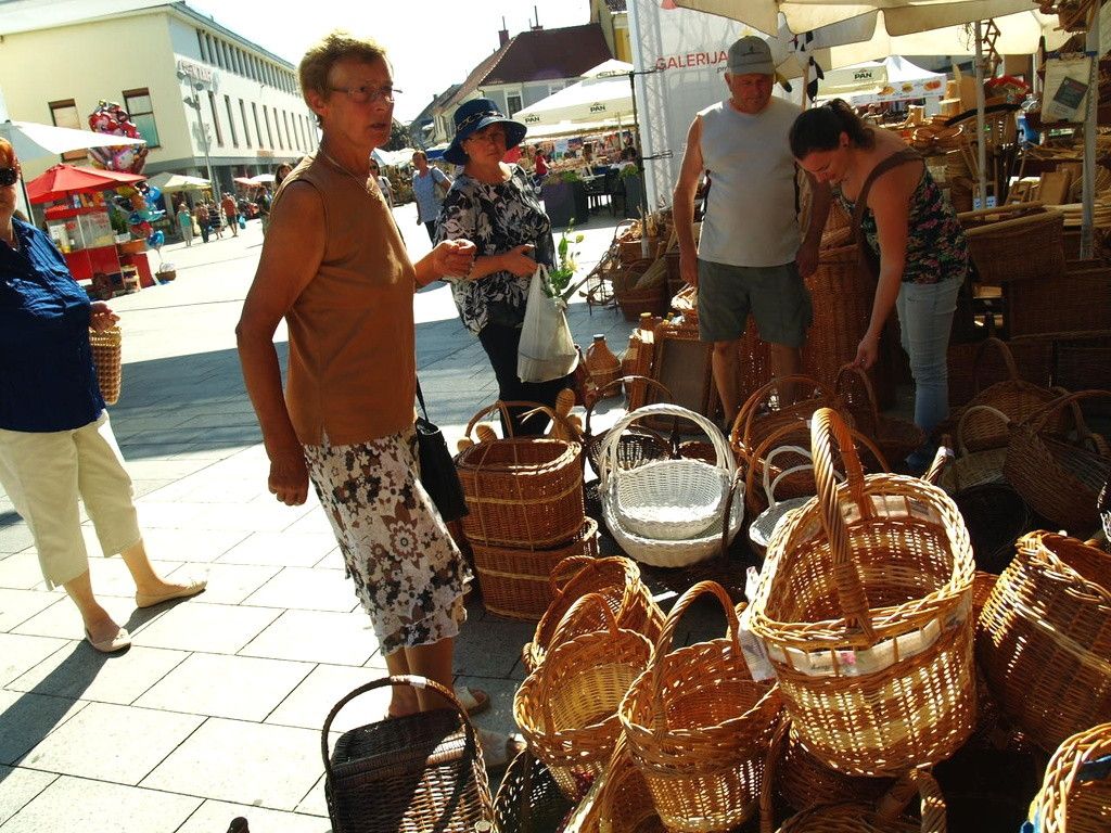 kosaracbrankopogorelec000140798