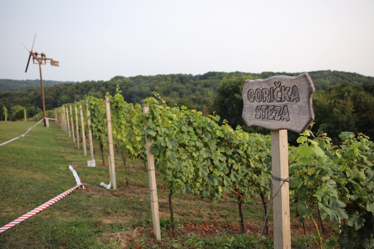 Drugi Gorički trail u organizaciji obitelji Hažić