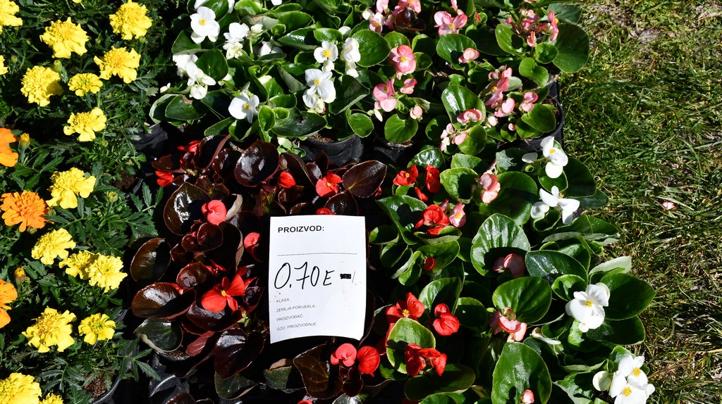 Proljetne temperature izmamile brojne posjetitelje na sajam u Čakovcu