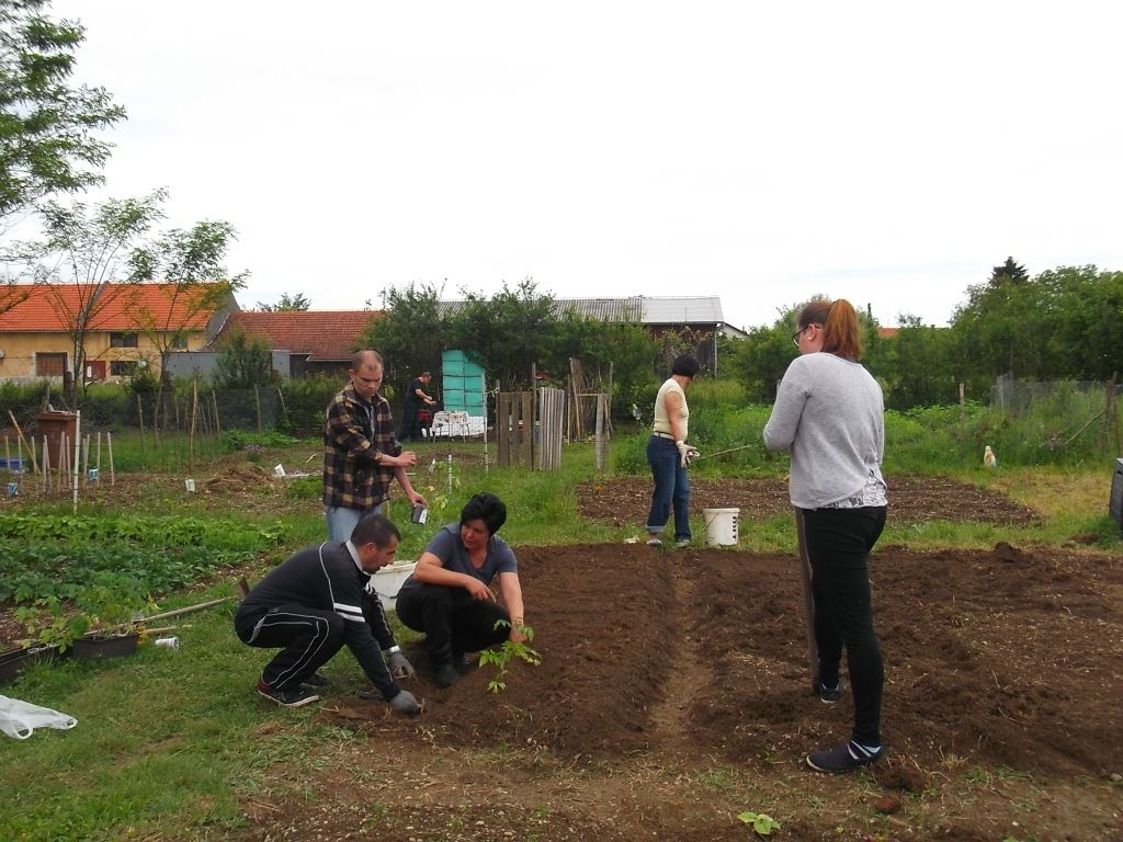 tecajvrtlarstva915595