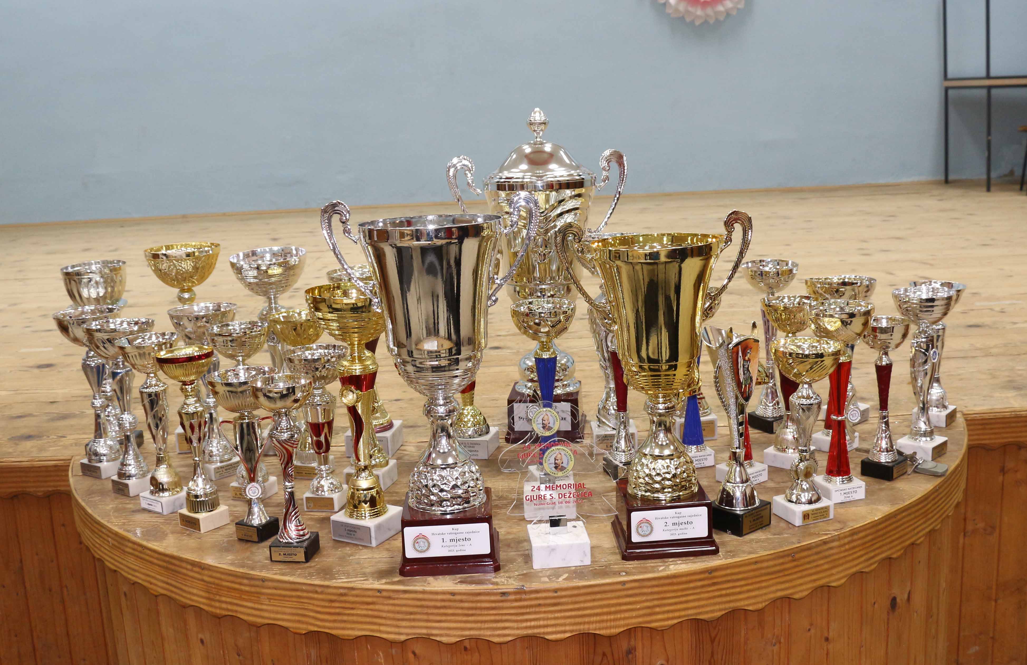 DVD PALINOVEC Povodom fantastične natjecateljske godine organizirali završno druženje