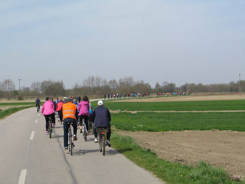 1292326810204634840750031342893