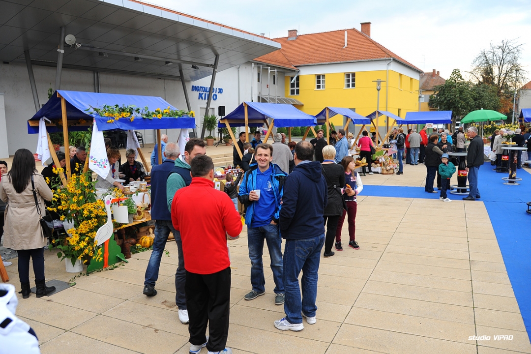 314913287dsc0684933751