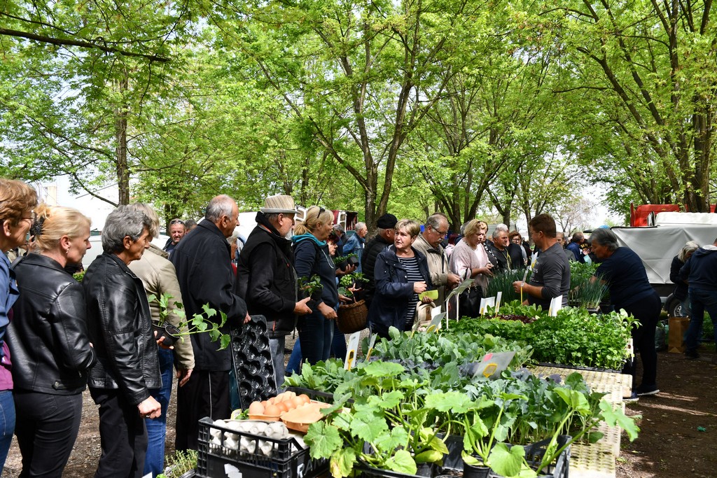 ČAKOVEČKI SAJAM SRIJEDOM Najveći interes i dalje vlada za presadnice