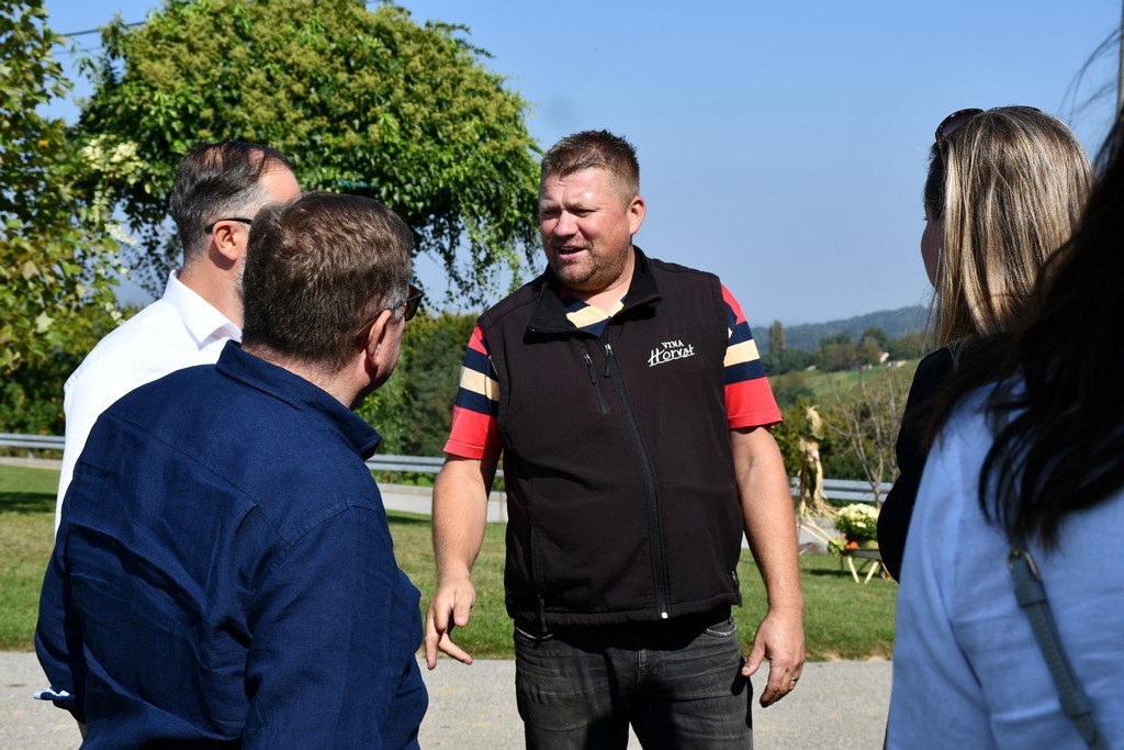 Vinarija Horvat, berba