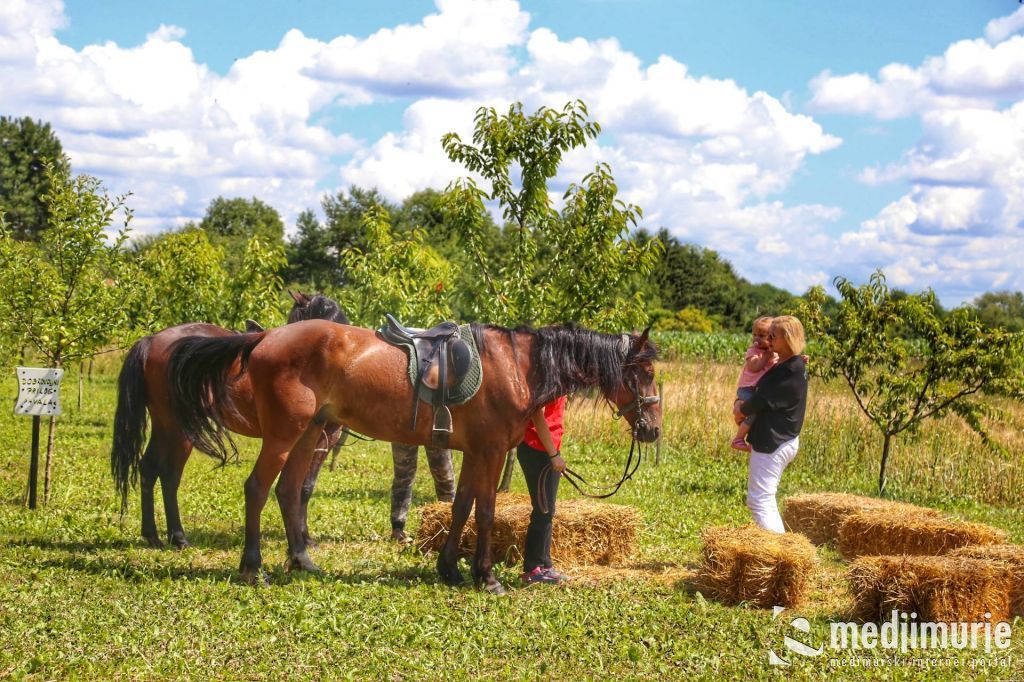 1968639210212312049413328826439