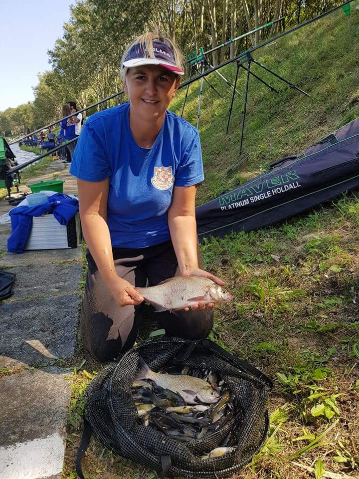 fbimg1504372869283813564