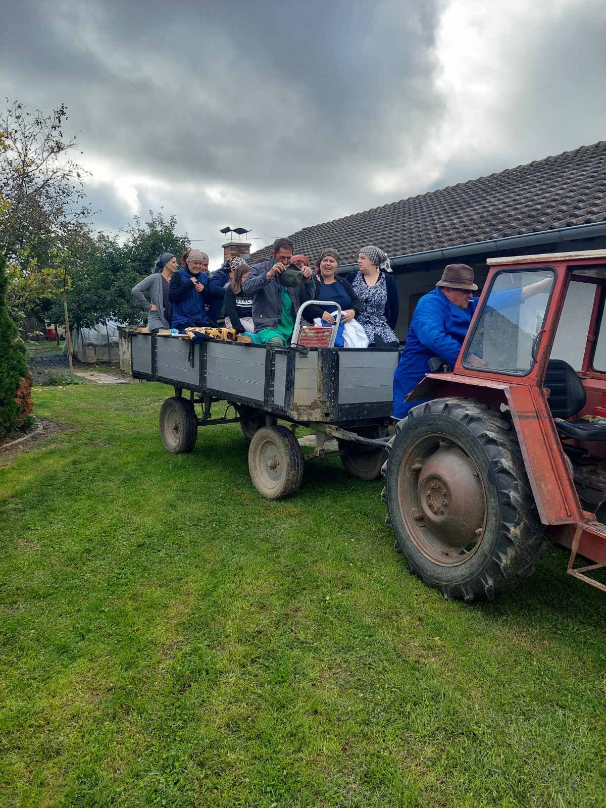 Branje kukuruza u Domašincu