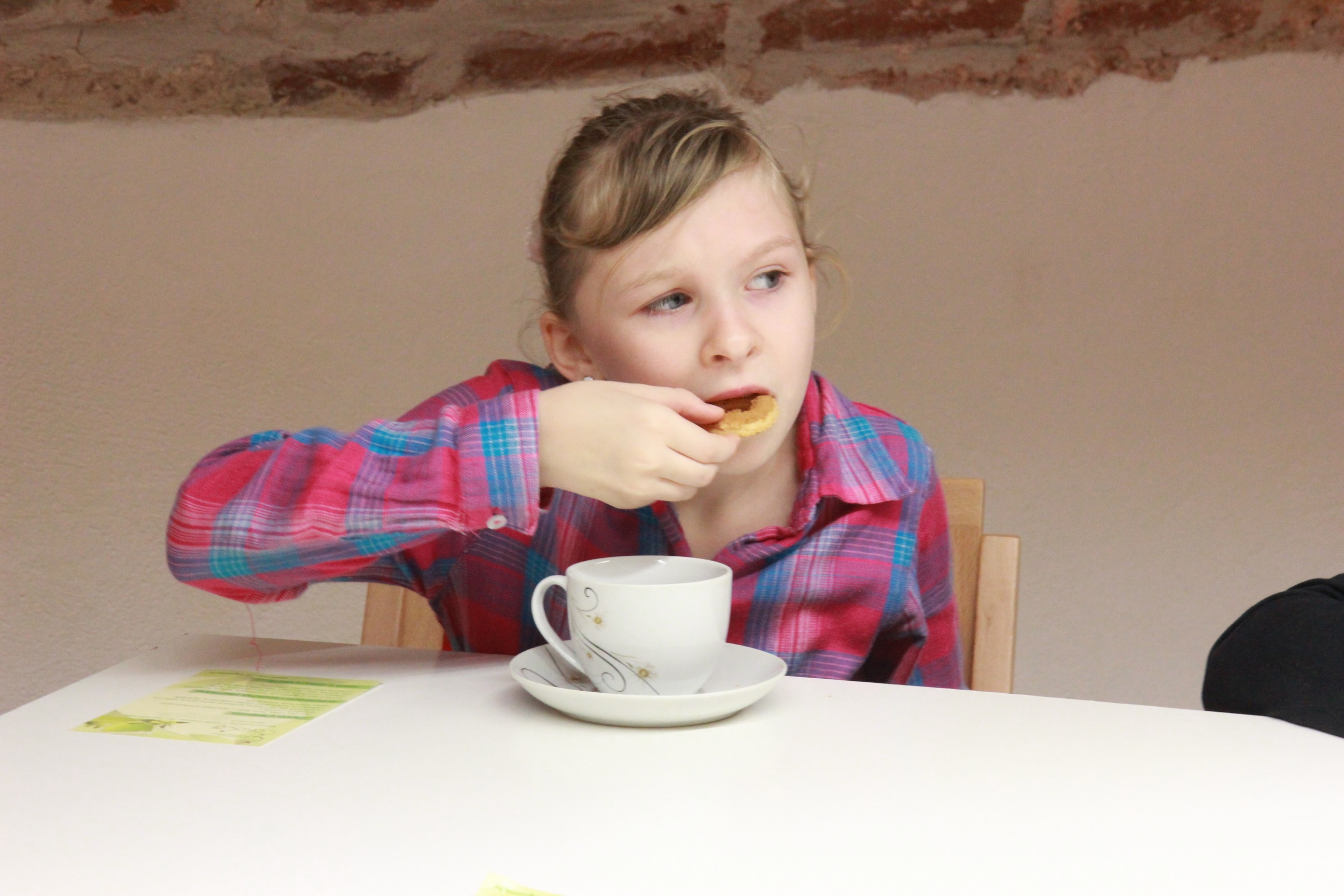 Muzej Međimurja Čakovec