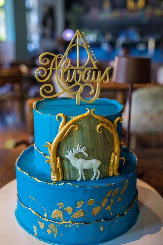 Harry Potter vječanje Harry Potter vječanje