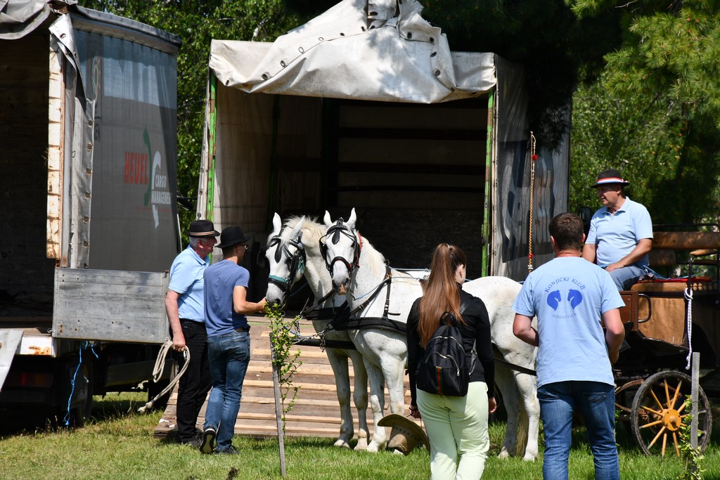 VIDEO I FOTO Međunarodno konjičko druženje okupilo brojne uzgajivače konja iz SZ Hrvatske te Slovenije i Austrije