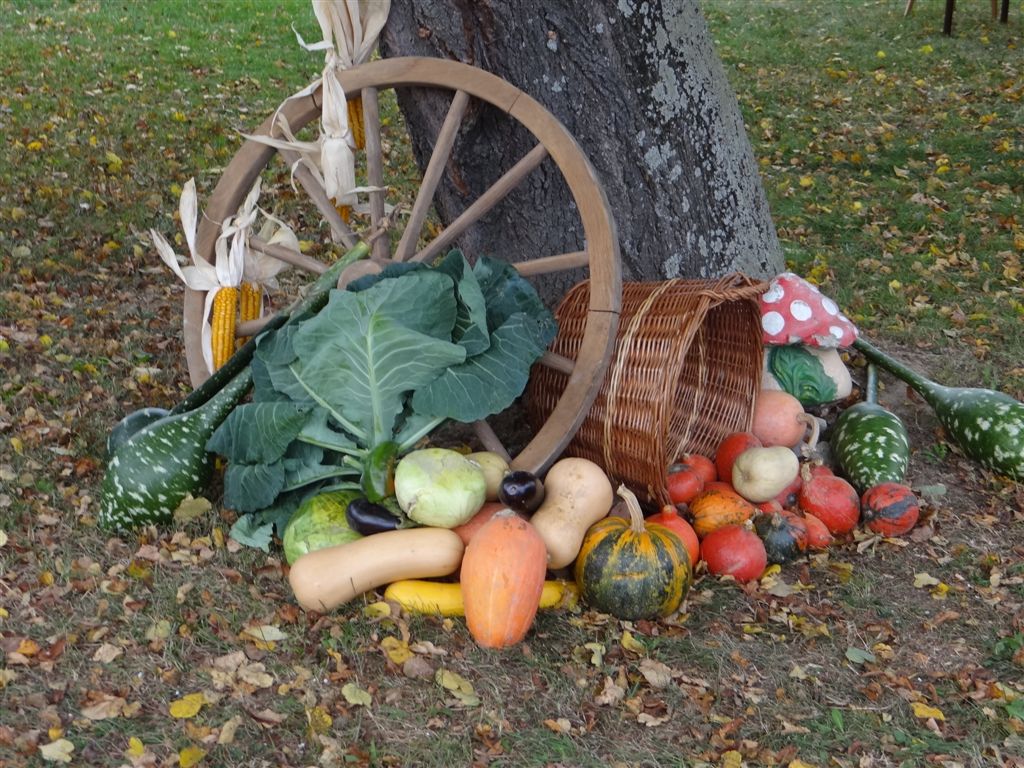 Mamičina škrija u Gornjem Kraljevcu