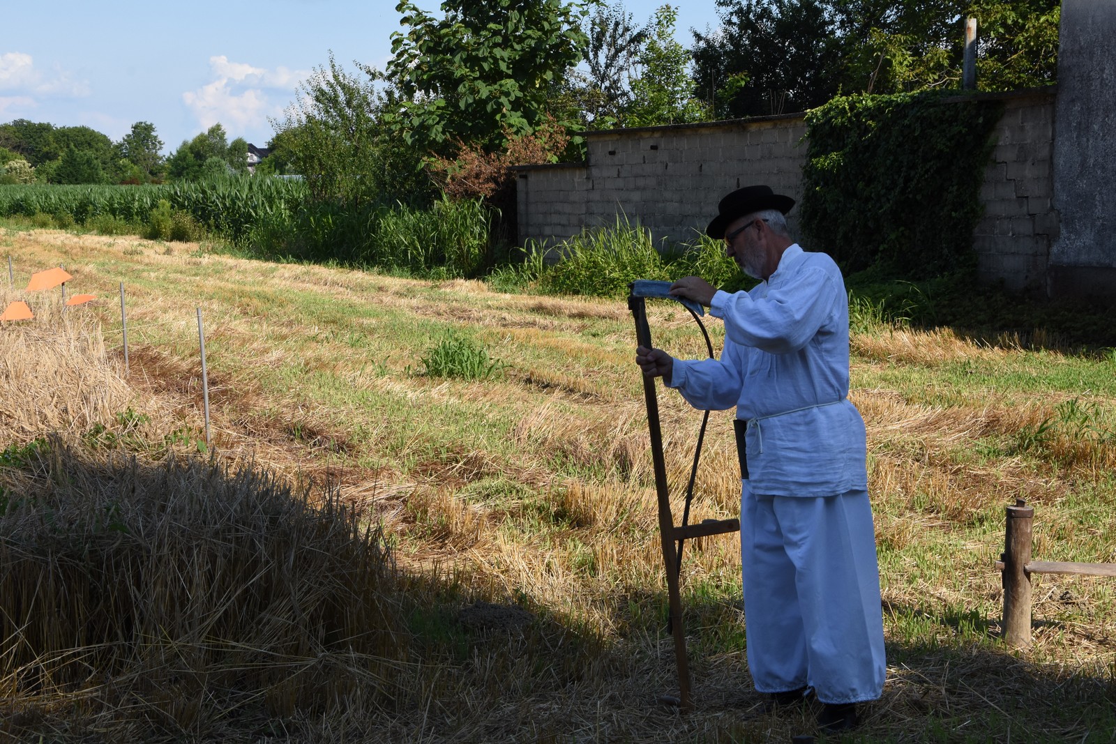 Mamičina žetva u Pušćinama