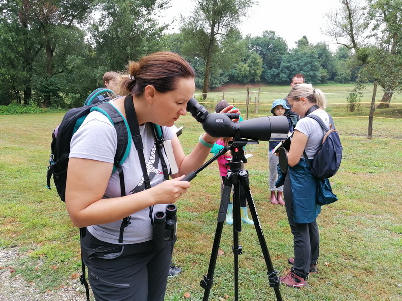 MEĐIMURSKA PRIRODA Ptičari tijekom dva sata opazili više od dvadeset ptičjih vrsta